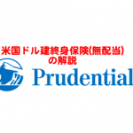 払い終わっても元本割れ！プルデンシャル生命の「米国ドル建終身保険(無配当)」