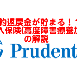 解約返戻金が貯まる！？プルデンシャル生命の収入保障保険「家族収入保険(高度障害療養加算型)」