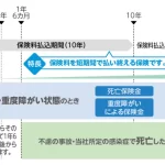 かんぽ生命 新フリープラン（短期払込型） 普通養老保険