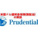 プルデンシャル　終身保険　米国ドル建て　外貨建　MDRT　ライフプランナー　評判　解説　
